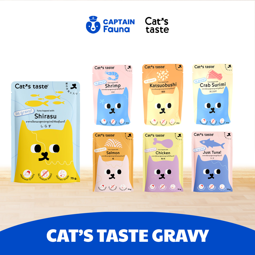 Cat Wet Food Pouch Gravy 70g